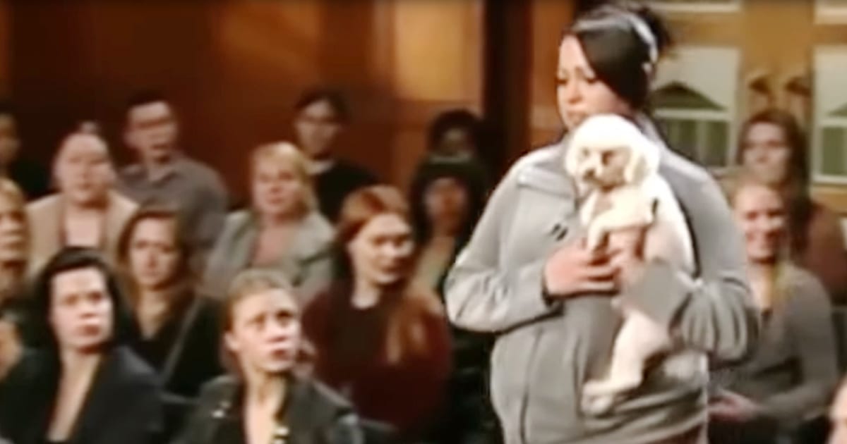 Judge Judy Lets Stolen Dog Loose In Courtroom So He Can Pick Out Who His Real Owner Is Animal