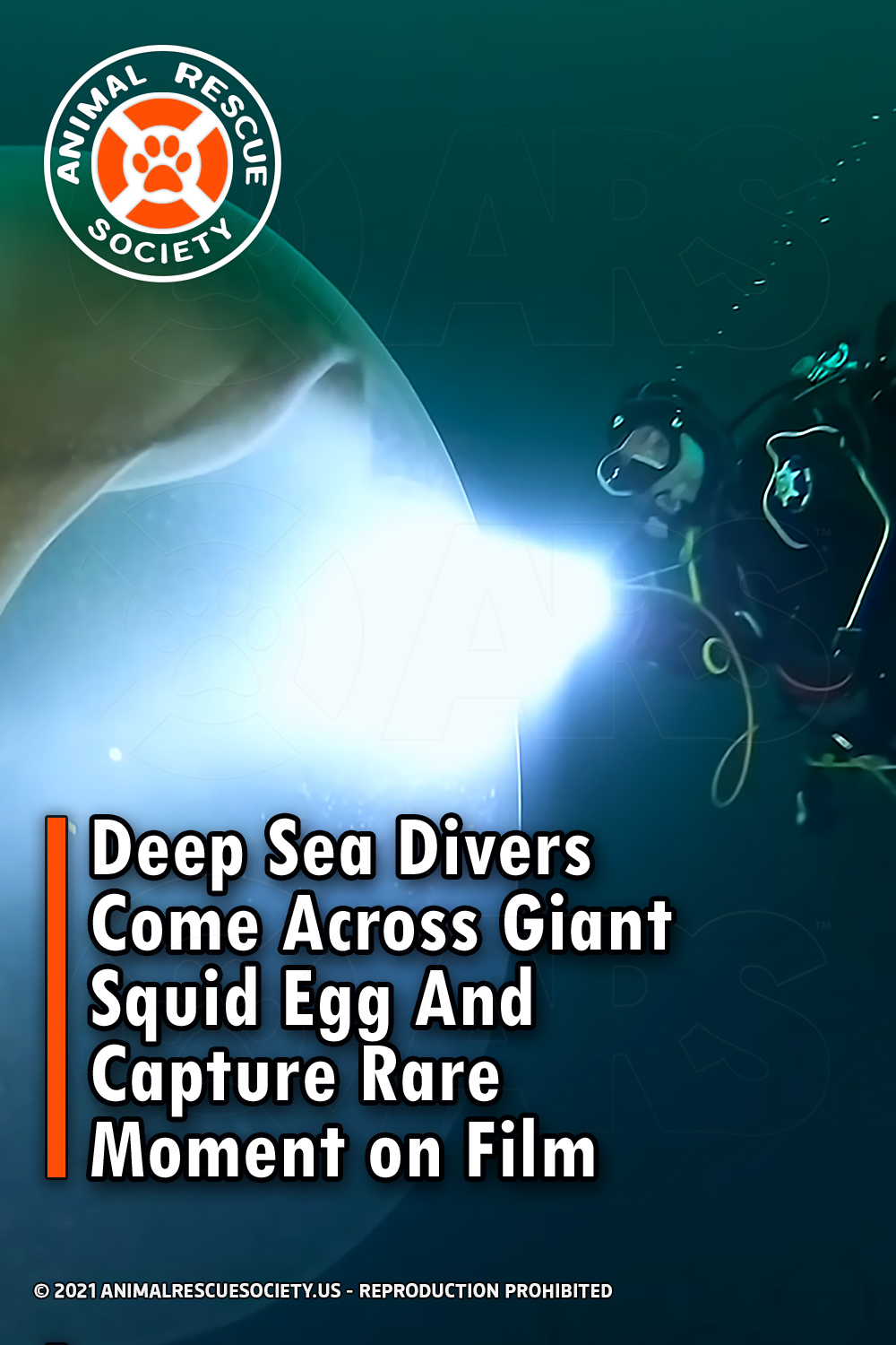 Deep Sea Divers Come Across Giant Squid Egg And Capture Rare Moment on Film