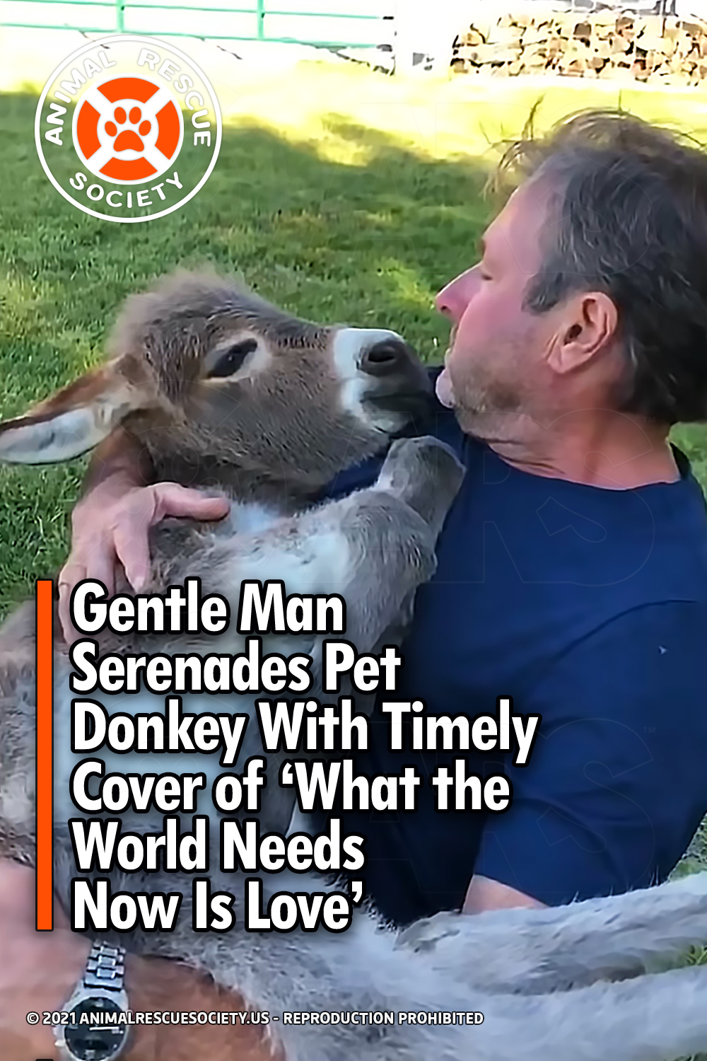 Gentle Man Serenades Pet Donkey With Timely Cover of ‘What the World Needs Now Is Love’