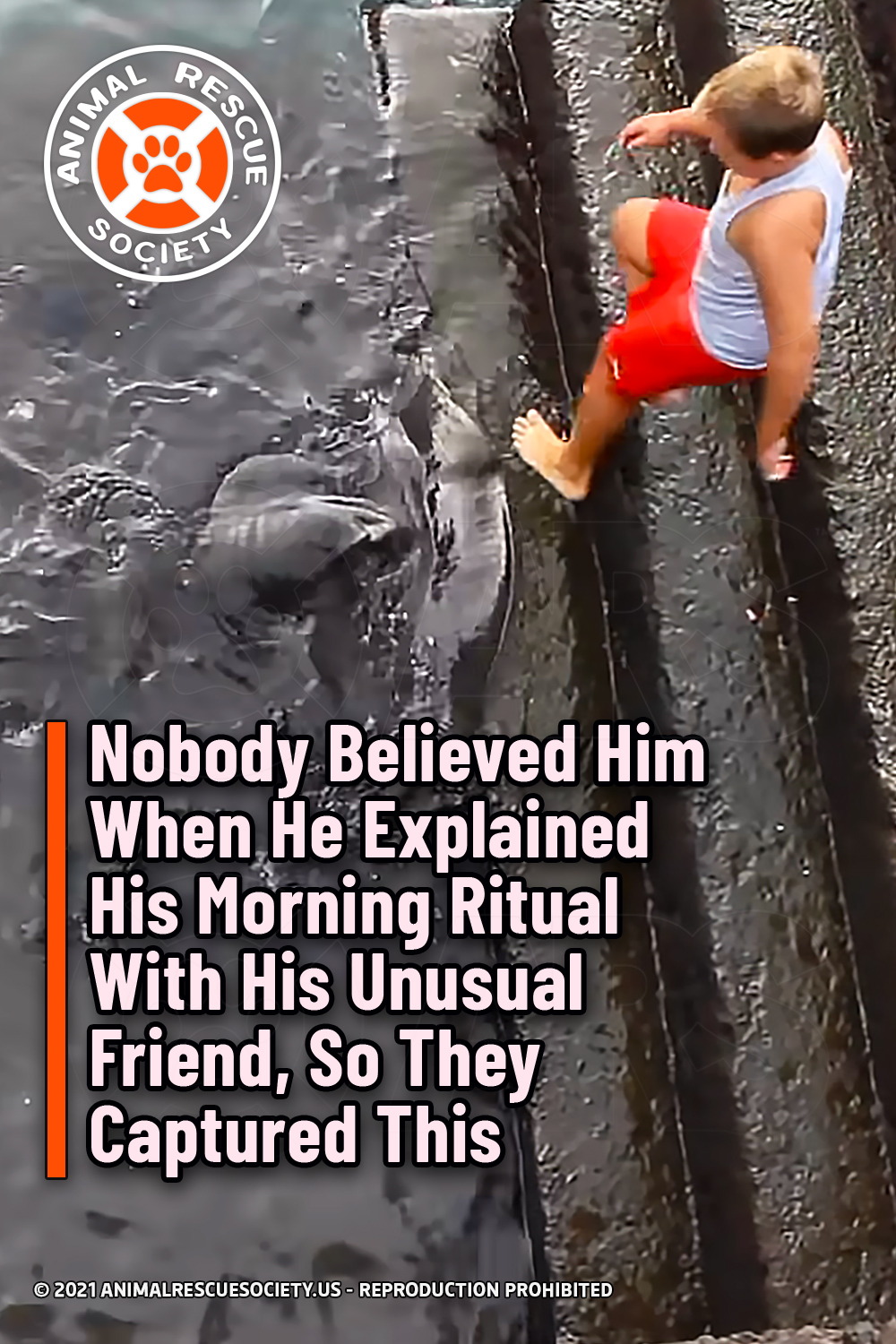 Nobody Believed Him When He Explained His Morning Ritual With His Unusual Friend, So They Captured This