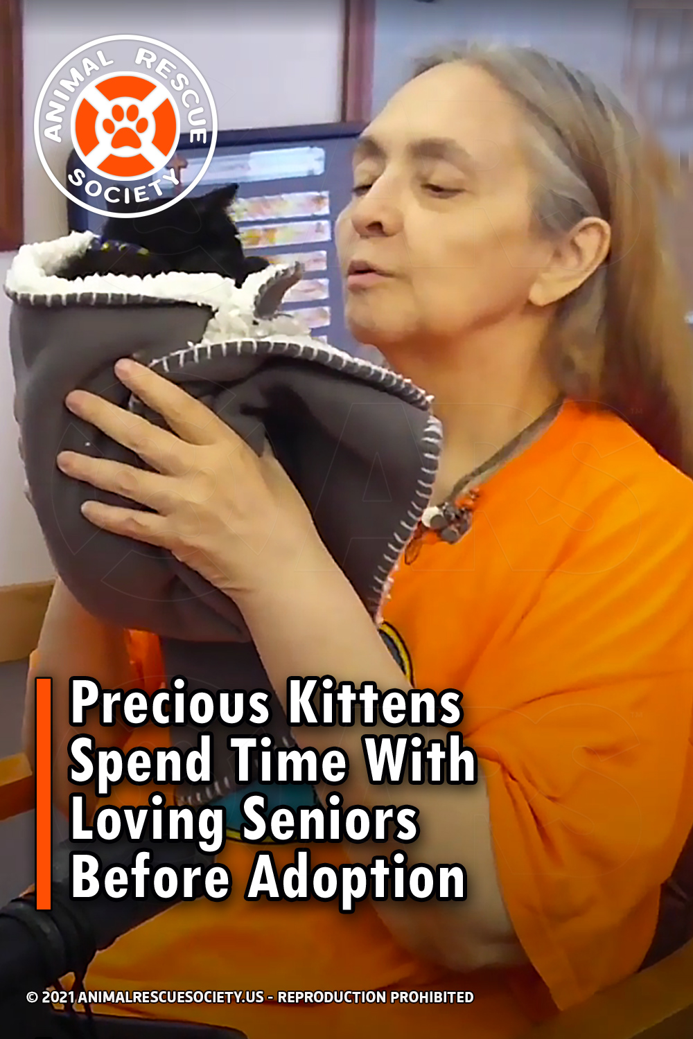 Precious Kittens Spend Time With Loving Seniors Before Adoption