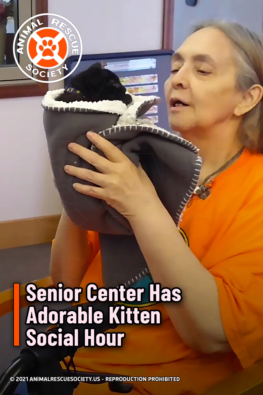 Senior Center Has Adorable Kitten Social Hour