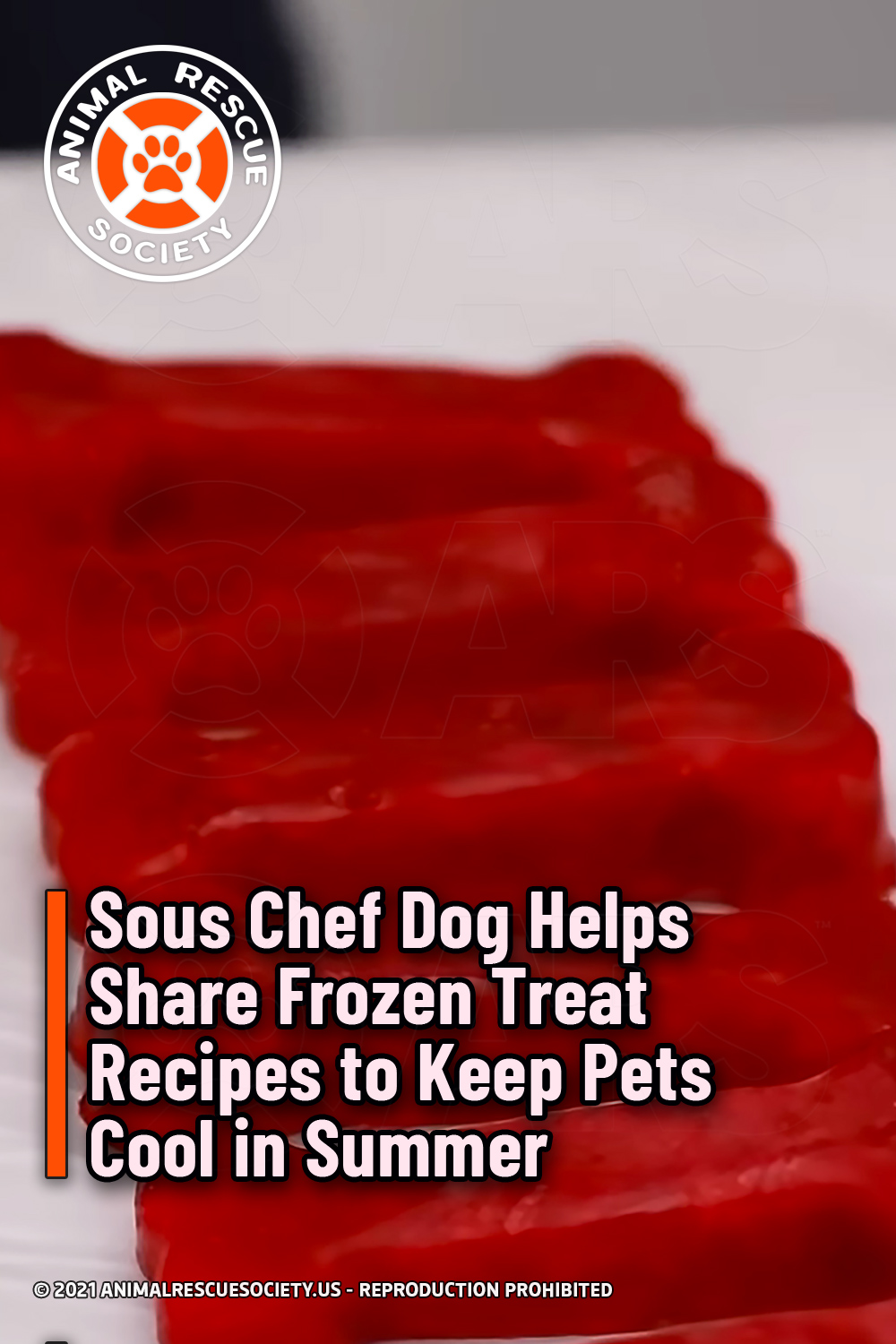 Sous Chef Dog Helps Share Frozen Treat Recipes to Keep Pets Cool in Summer