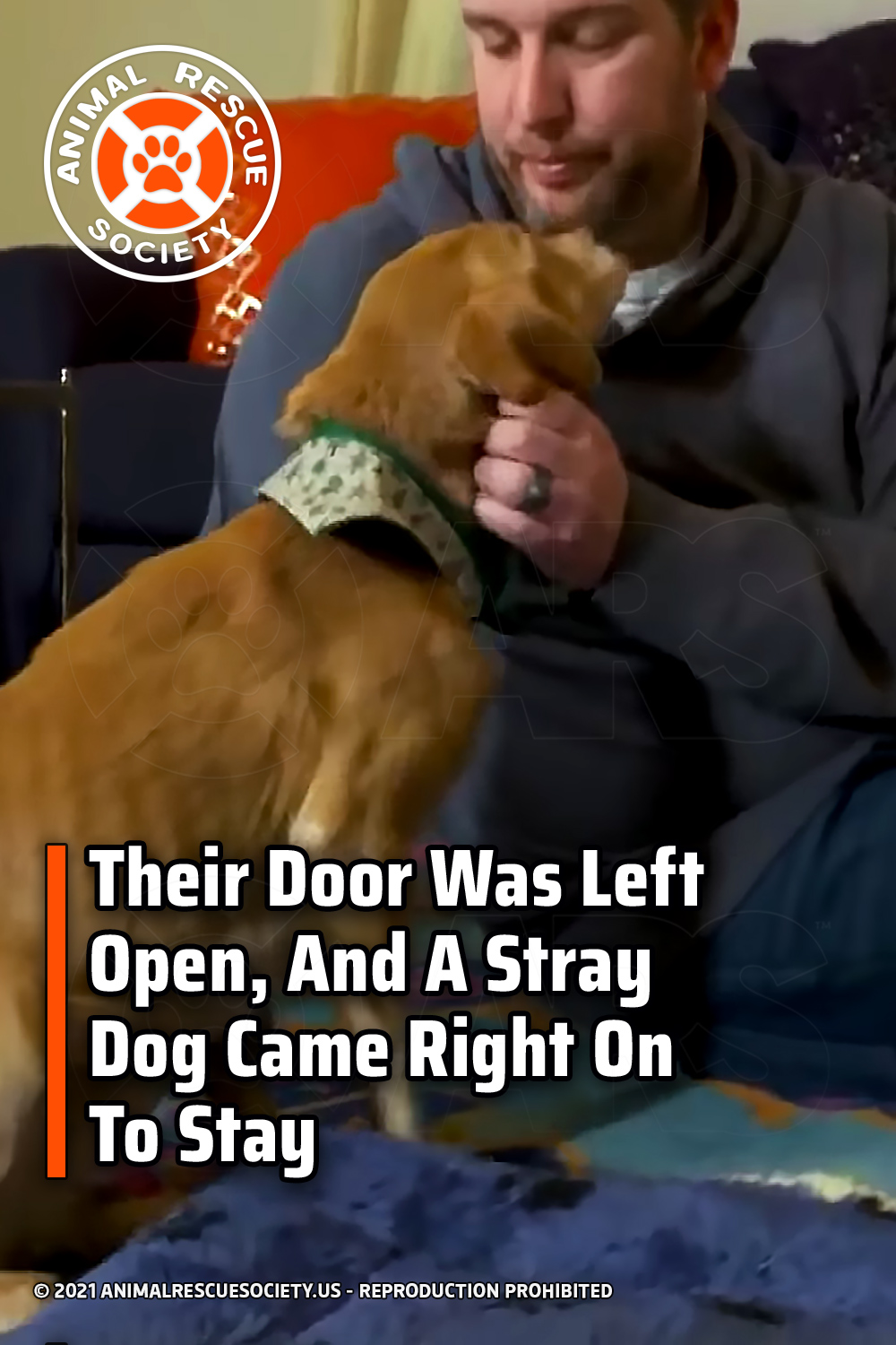 Their Door Was Left Open, And A Stray Dog Came Right On To Stay