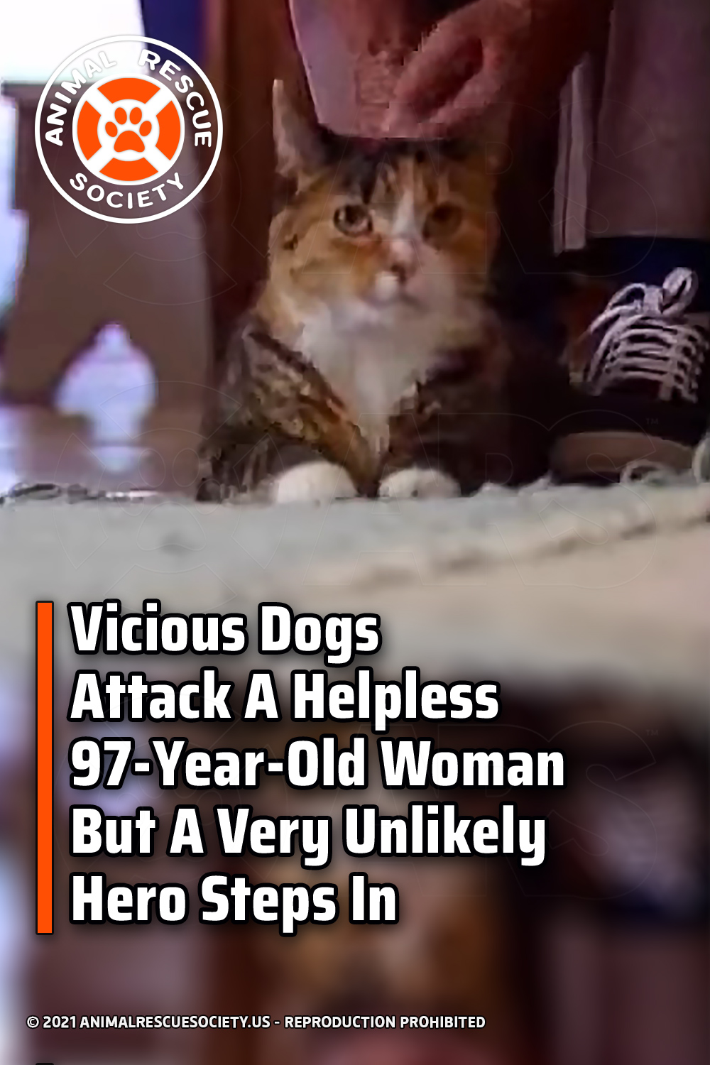 Vicious Dogs Attack A Helpless 97-Year-Old Woman But A Very Unlikely Hero Steps In