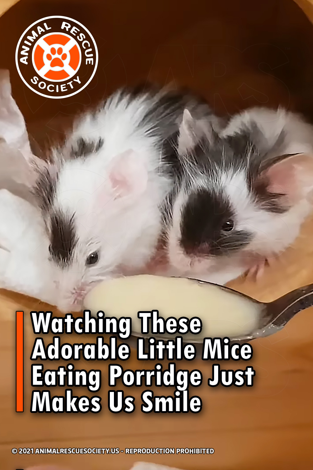 Watching These Adorable Little Mice Eating Porridge Just Makes Us Smile