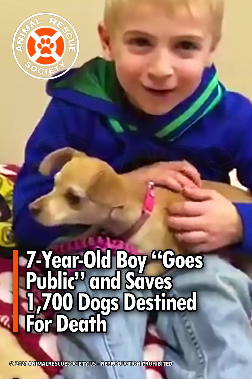 7-Year-Old Boy “Goes Public” and Saves 1,700 Dogs Destined For Death