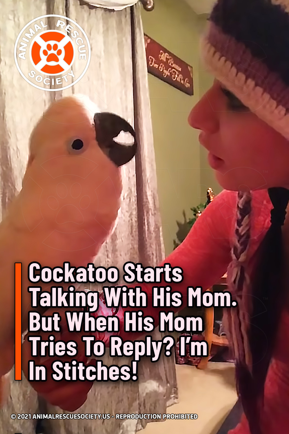 Cockatoo Starts Talking With His Mom. But When His Mom Tries To Reply? I’m In Stitches!