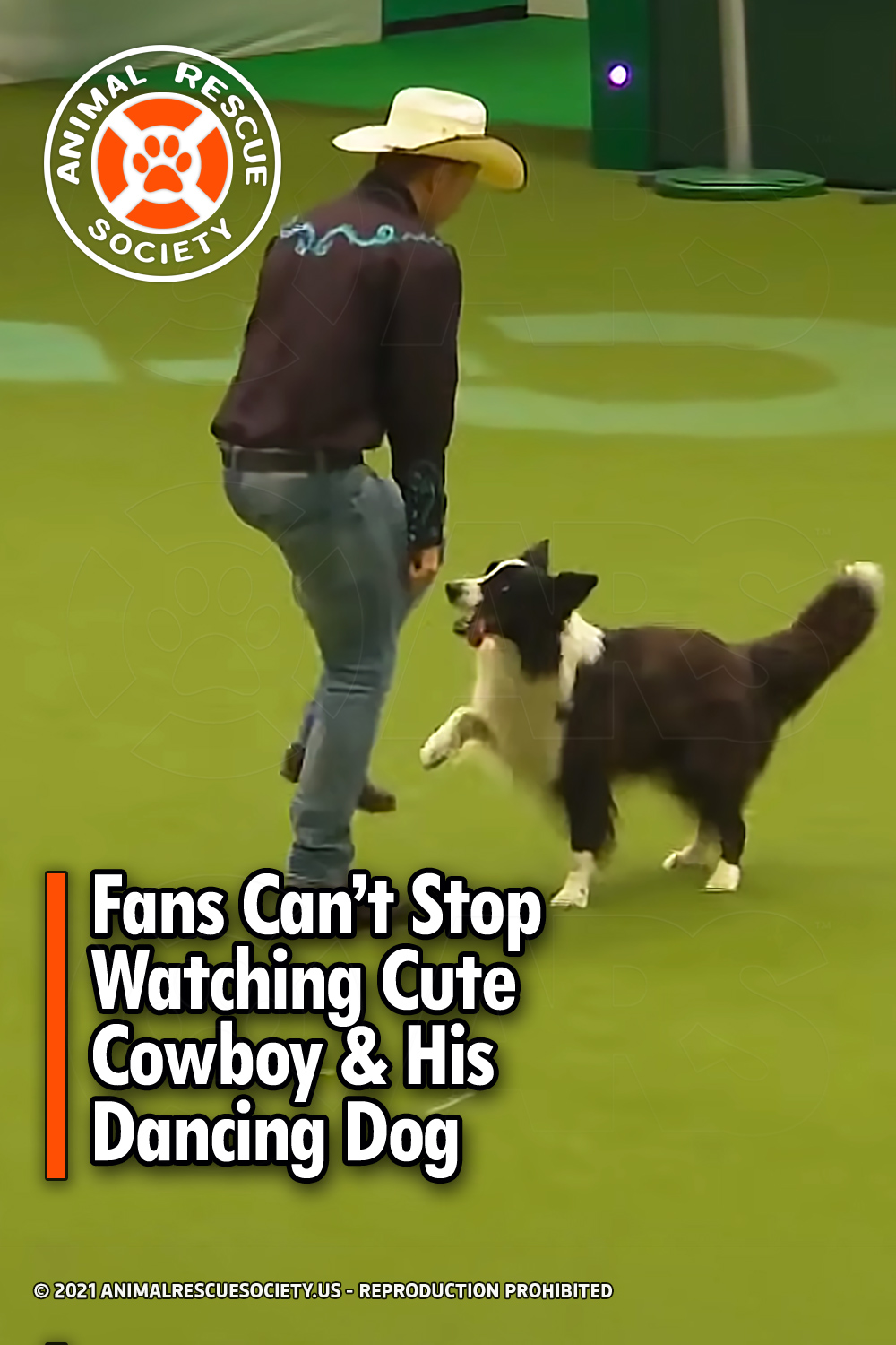 Fans Can’t Stop Watching Cute Cowboy & His Dancing Dog