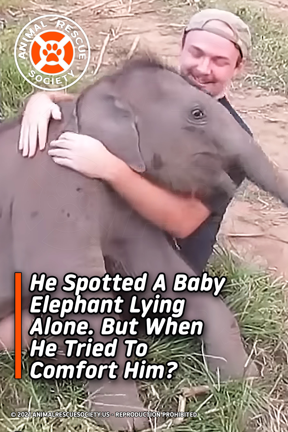 He Spotted A Baby Elephant Lying Alone. But When He Tried To Comfort Him?
