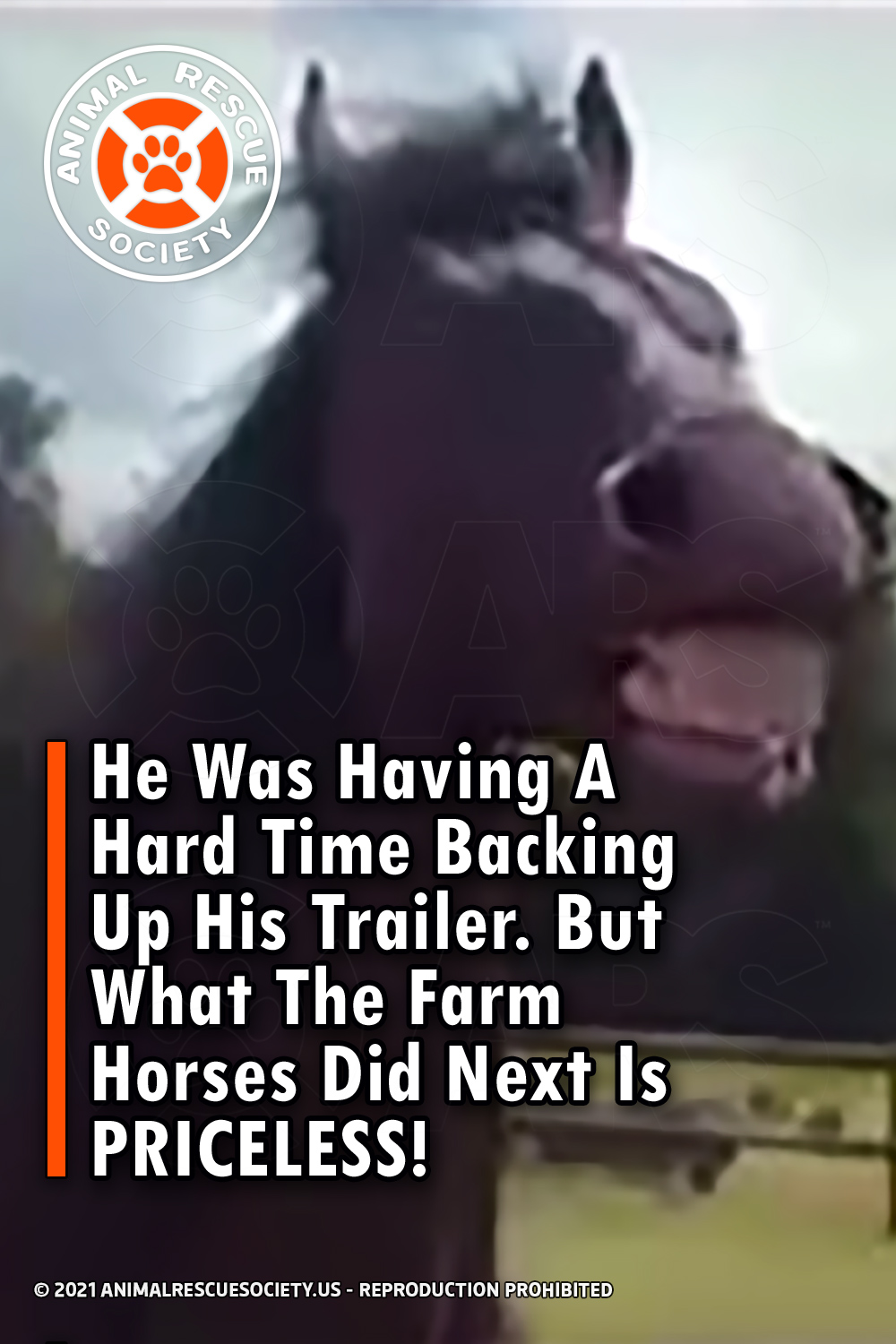 He Was Having A Hard Time Backing Up His Trailer. But What The Farm Horses Did Next Is PRICELESS!