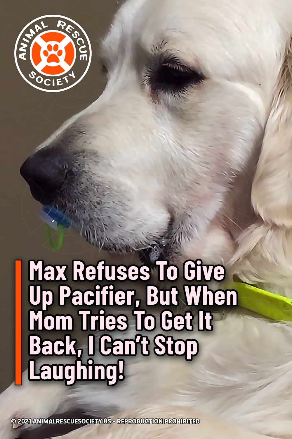 Max Refuses To Give Up Pacifier, But When Mom Tries To Get It Back, I Can’t Stop Laughing!