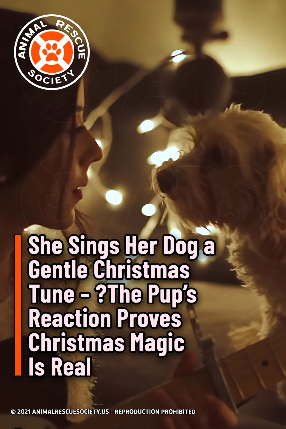 She Sings Her Dog a Gentle Christmas Tune – ?The Pup’s Reaction Proves Christmas Magic Is Real