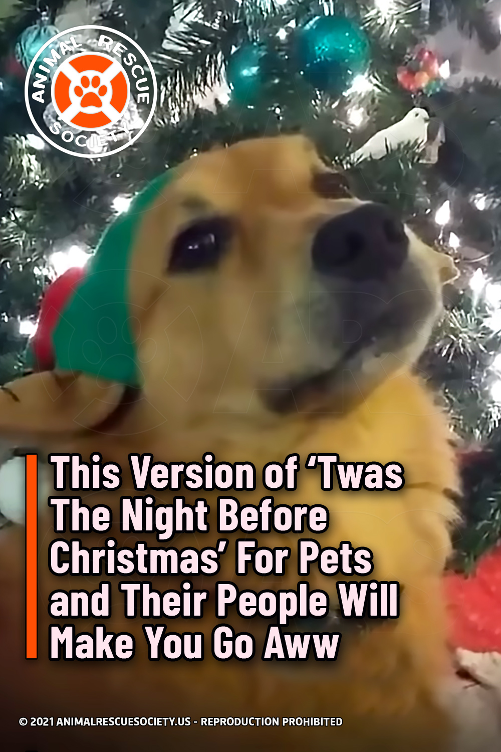 This Version of ‘Twas The Night Before Christmas’ For Pets and Their People Will Make You Go Aww