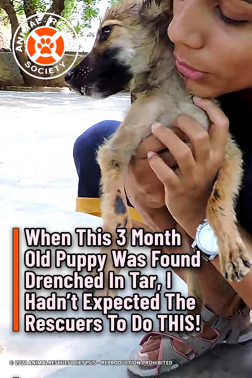 When This 3 Month Old Puppy Was Found Drenched In Tar, I Hadn’t Expected The Rescuers To Do THIS!