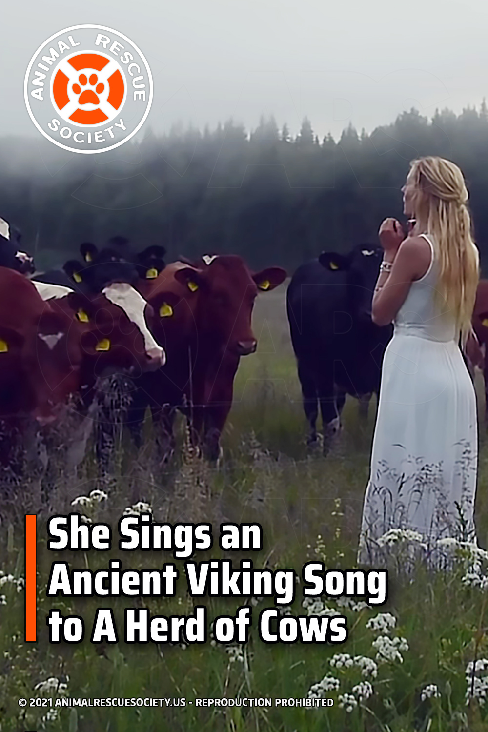 She Sings an Ancient Viking Song to A Herd of Cows