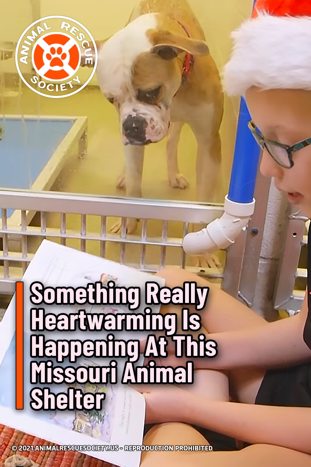 Something Really Heartwarming Is Happening At This Missouri Animal Shelter