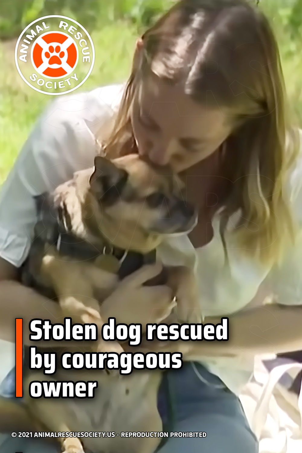 Stolen dog rescued by courageous owner