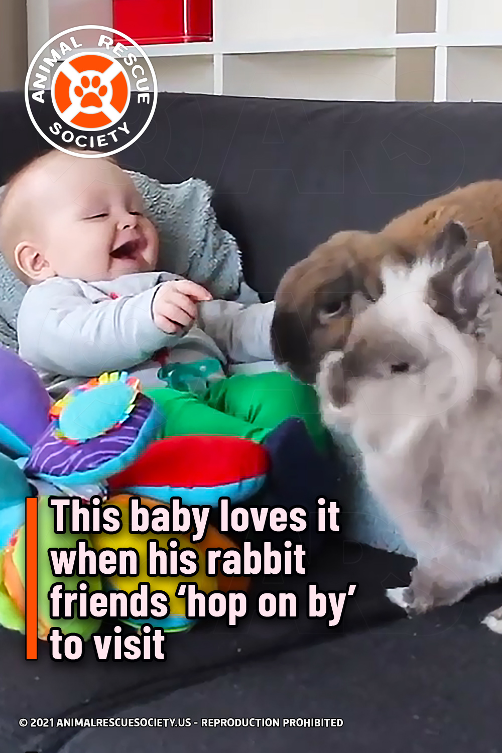 This baby loves it when his rabbit friends ‘hop on by’ to visit