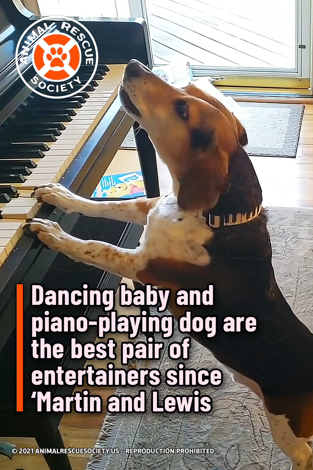 Dancing baby and piano-playing dog are the best pair of entertainers since ‘Martin and Lewis