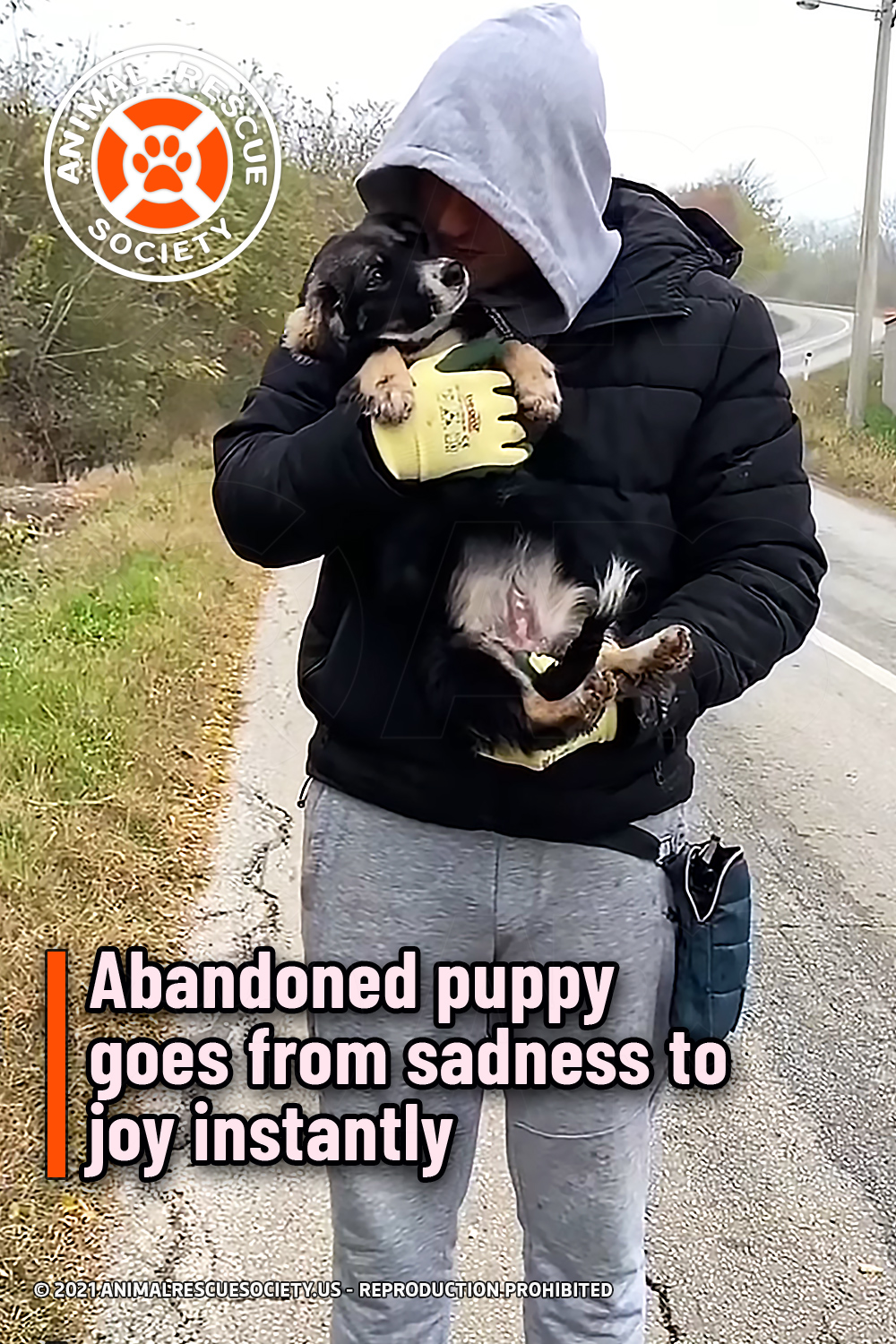 Abandoned puppy goes from sadness to joy instantly