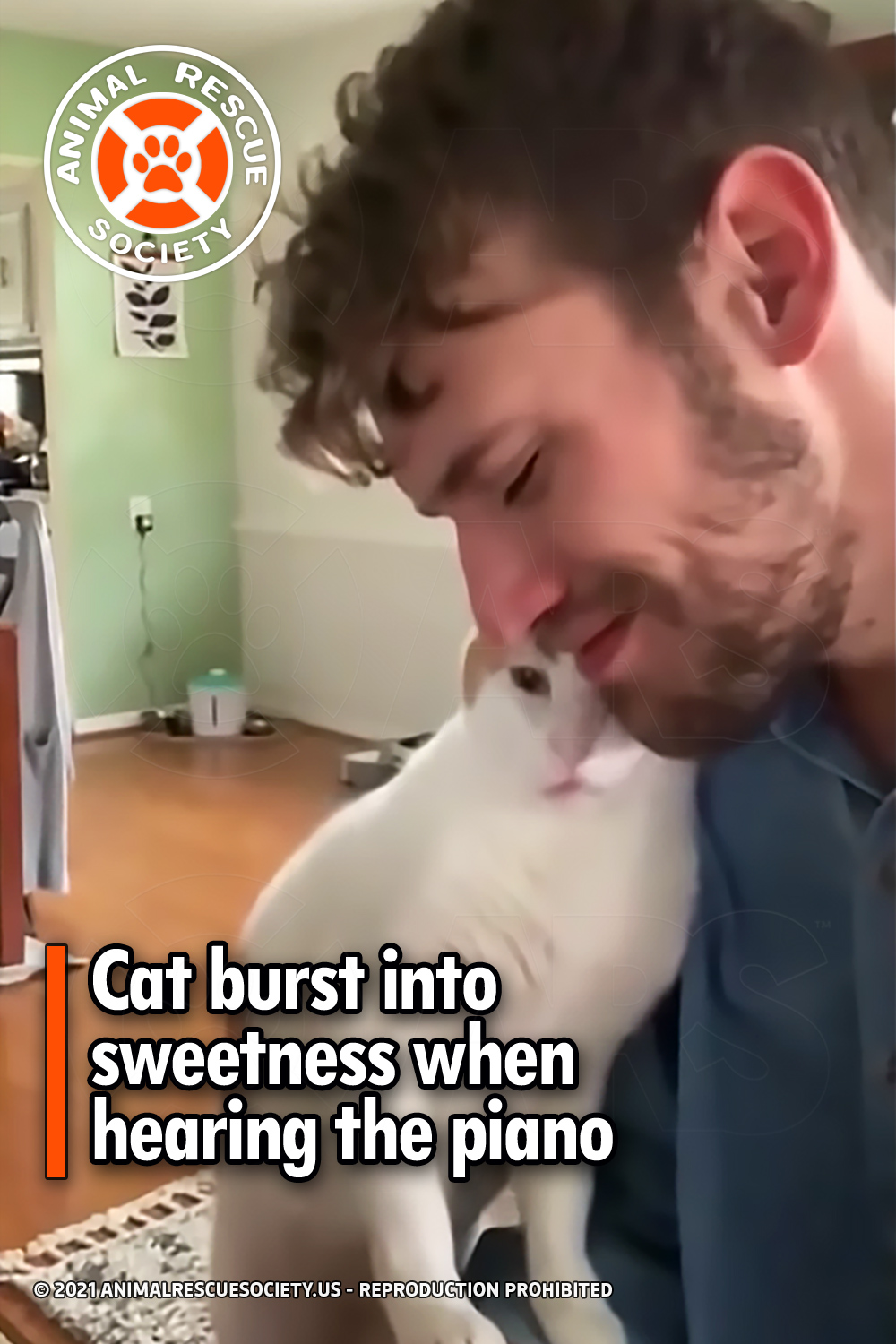 Cat burst into sweetness when hearing the piano