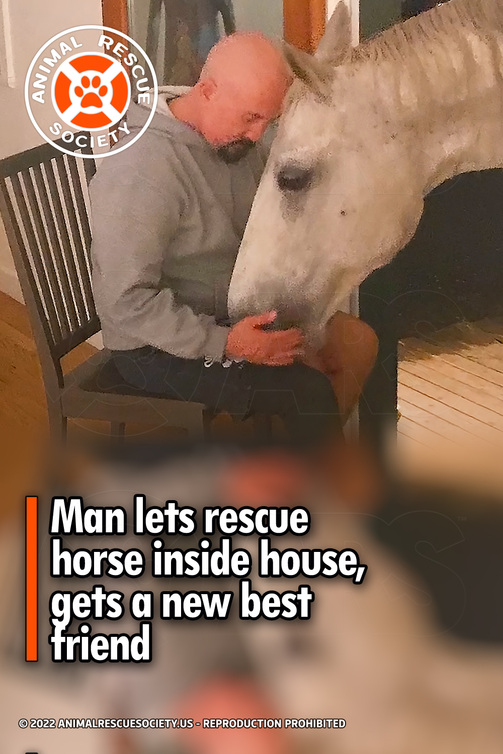 Man lets rescue horse inside house, gets a new best friend
