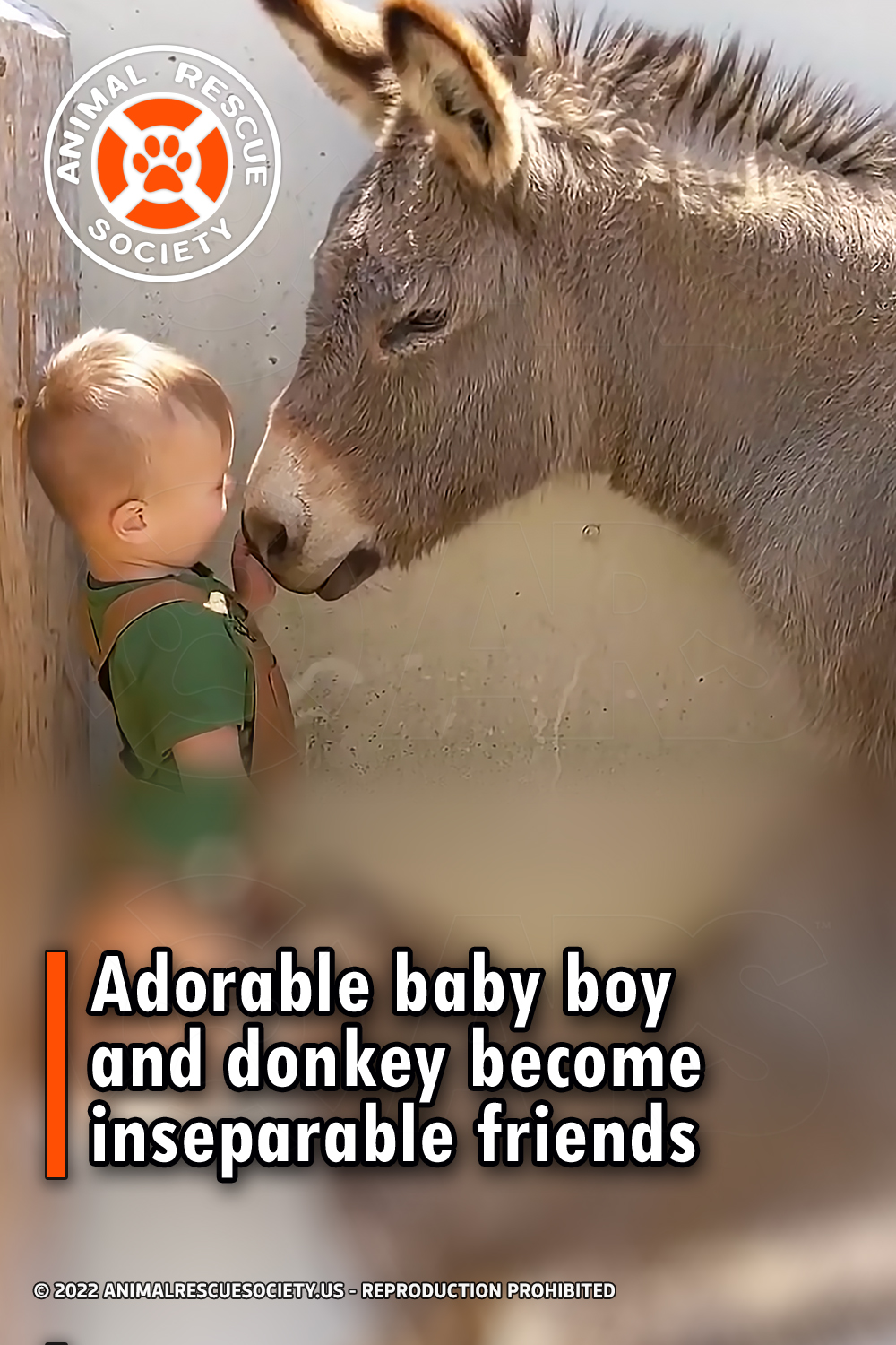 Adorable baby boy and donkey become inseparable friends