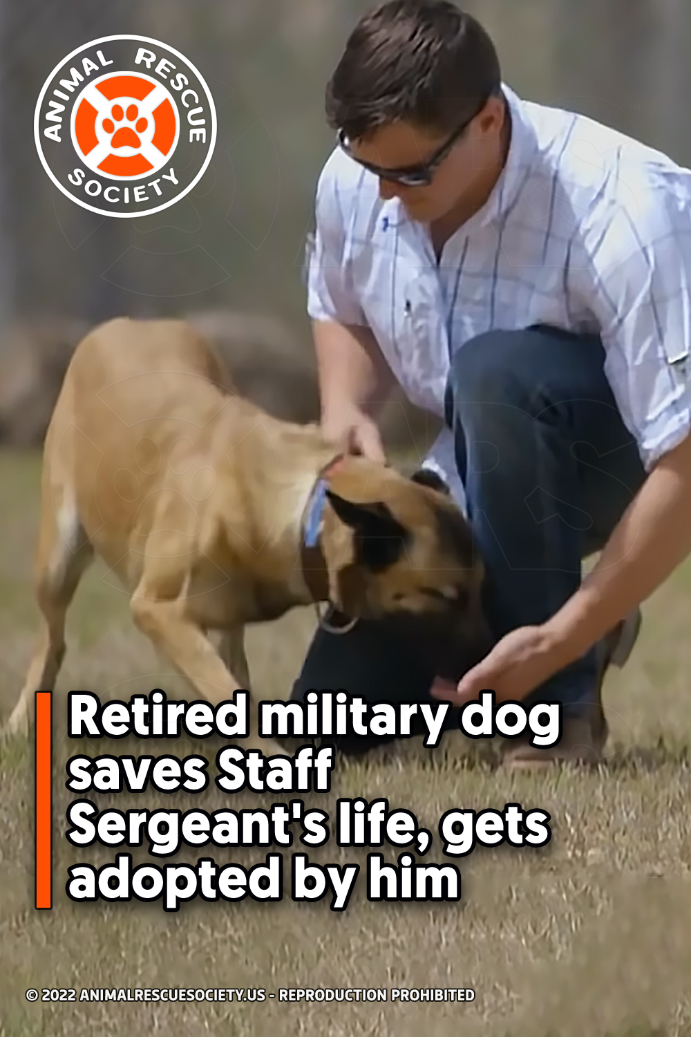 Retired military dog saves Staff Sergeant\'s life, gets adopted by him