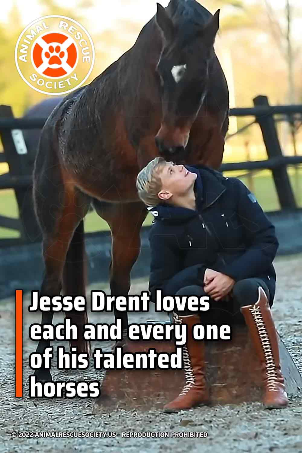 Jesse Drent loves each and every one of his talented horses