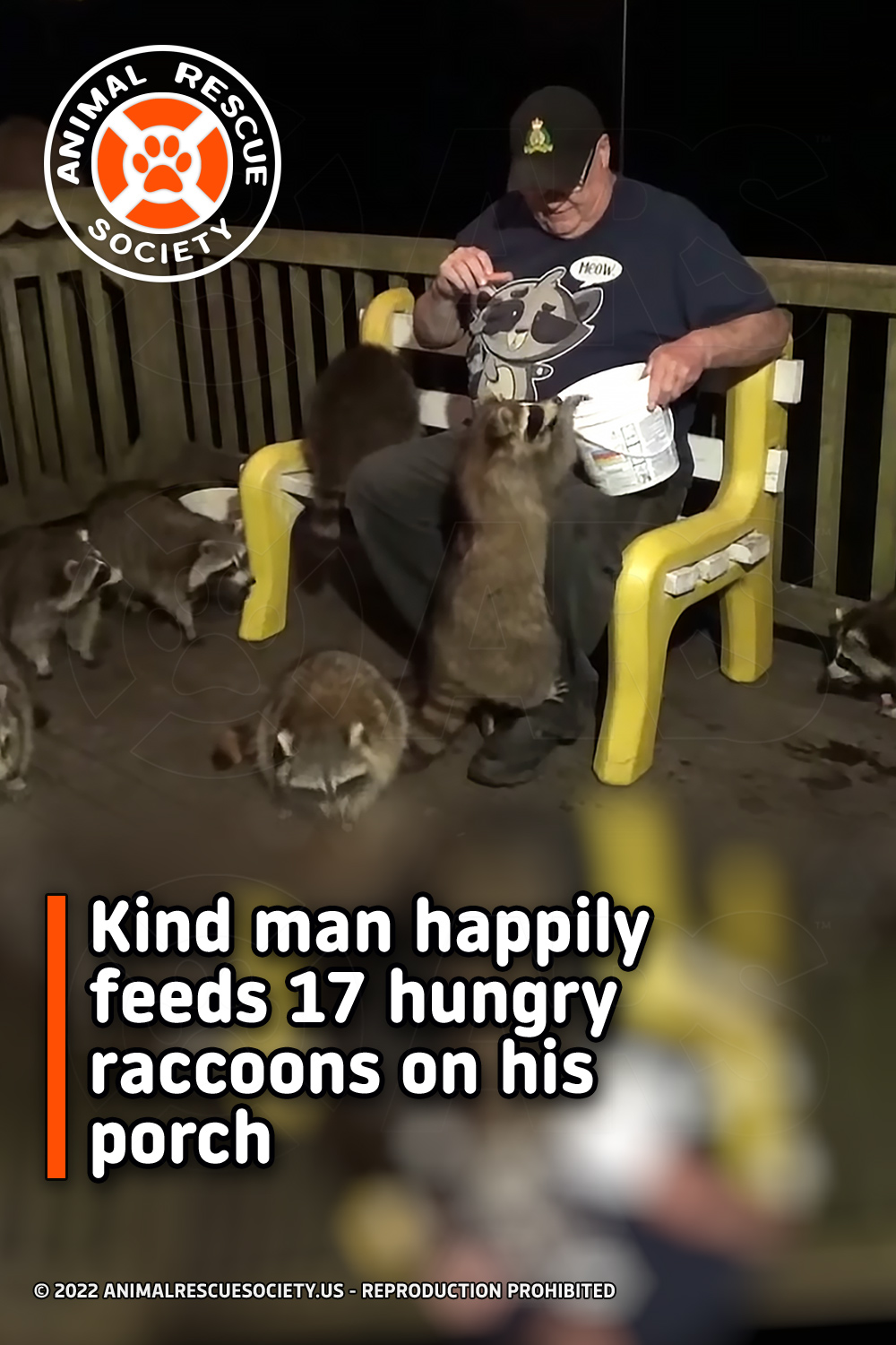 Kind man happily feeds 17 hungry raccoons on his porch