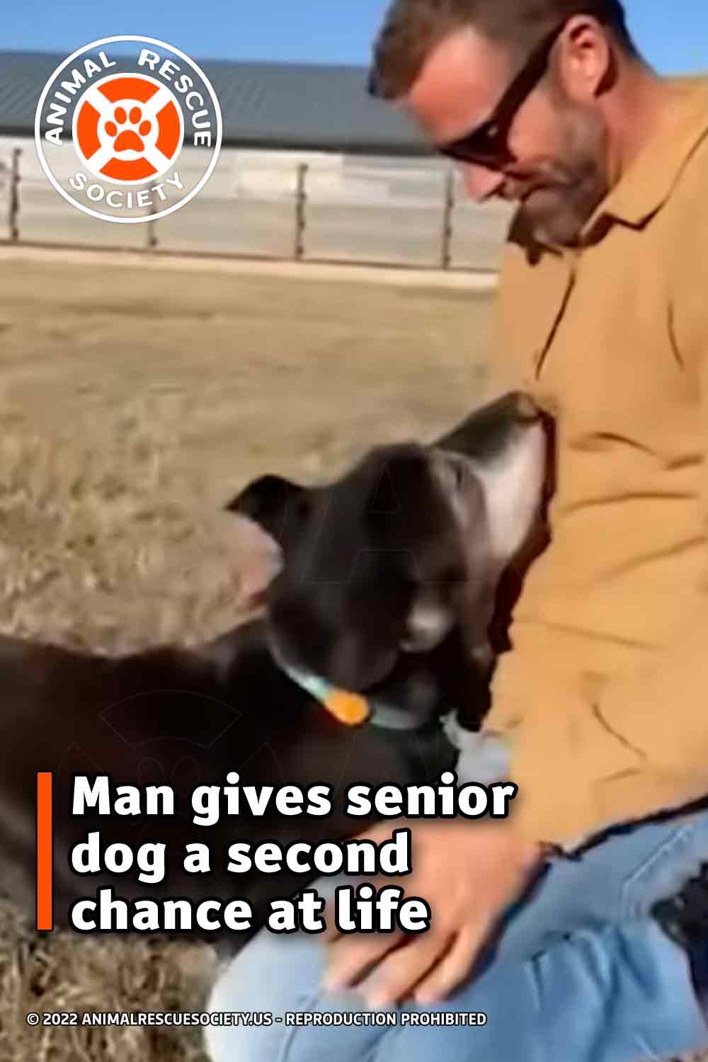 Man gives senior dog a second chance at life