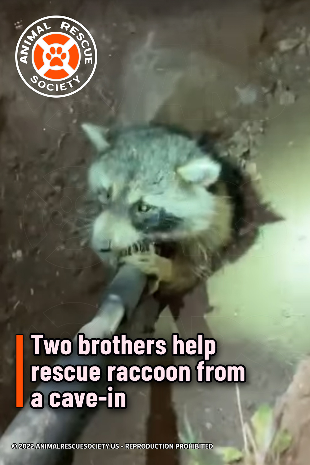 Two brothers help rescue raccoon from a cave-in