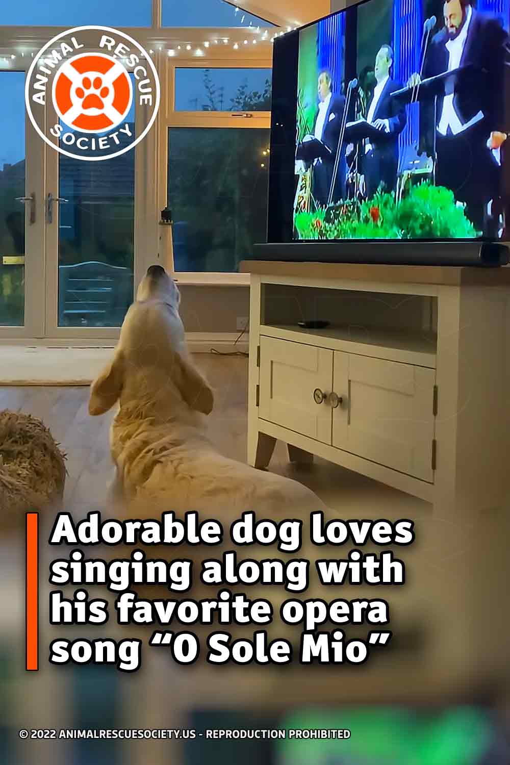 Adorable dog loves singing along with his favorite opera song “O Sole Mio”