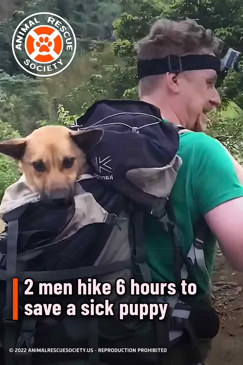 2 men hike 6 hours to save a sick puppy