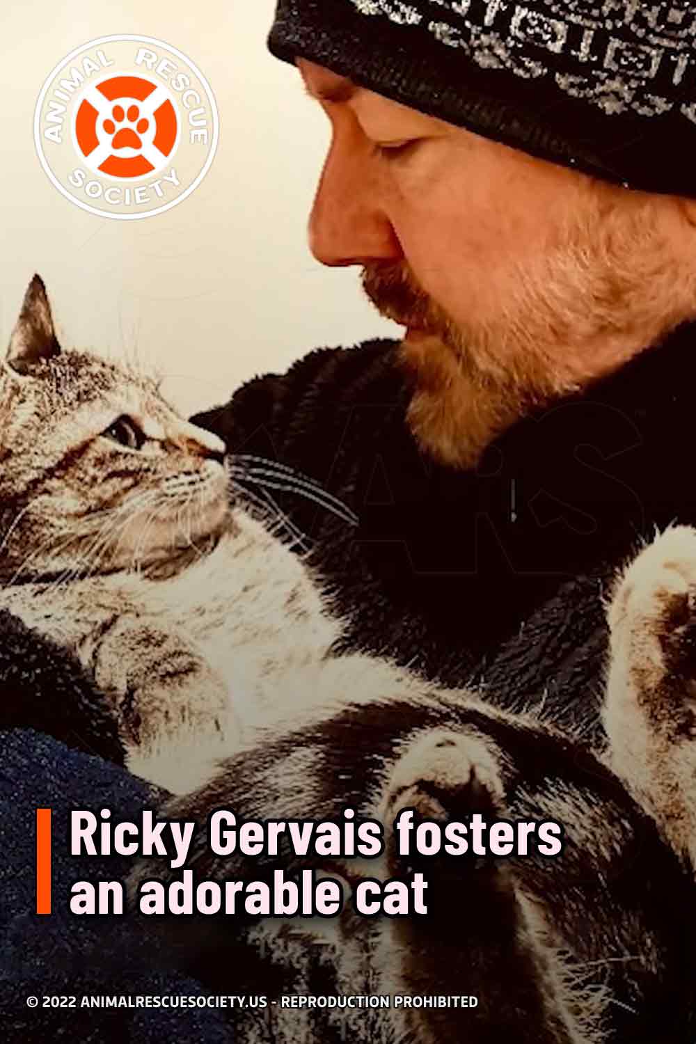 Ricky Gervais fosters an adorable cat