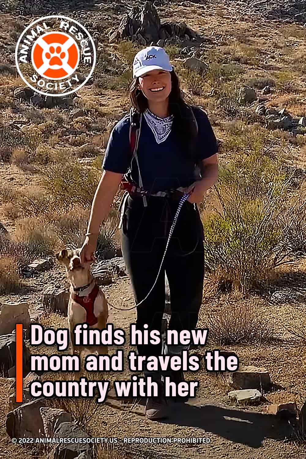 Dog finds his new mom and travels the country with her