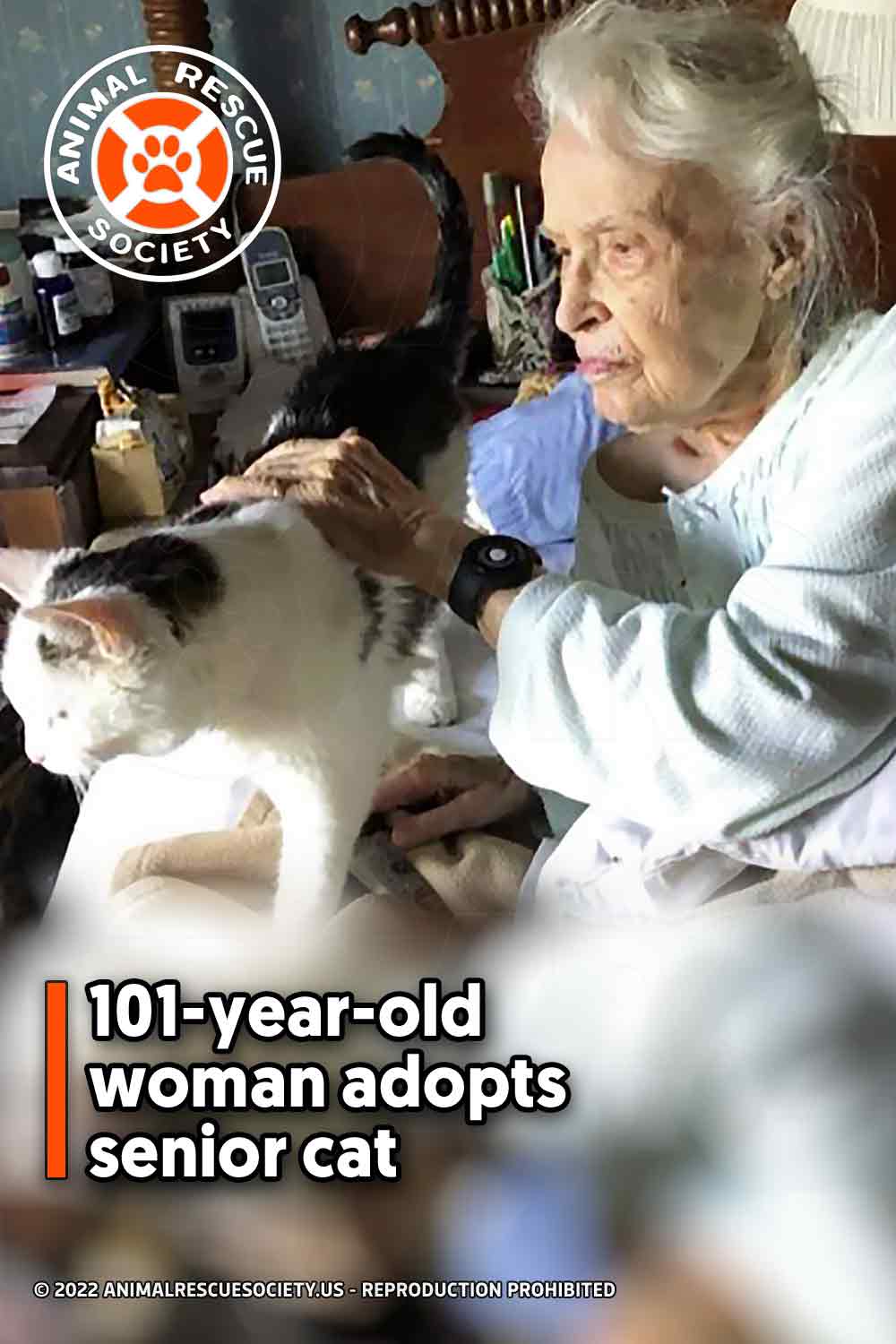 101-year-old woman adopts senior cat