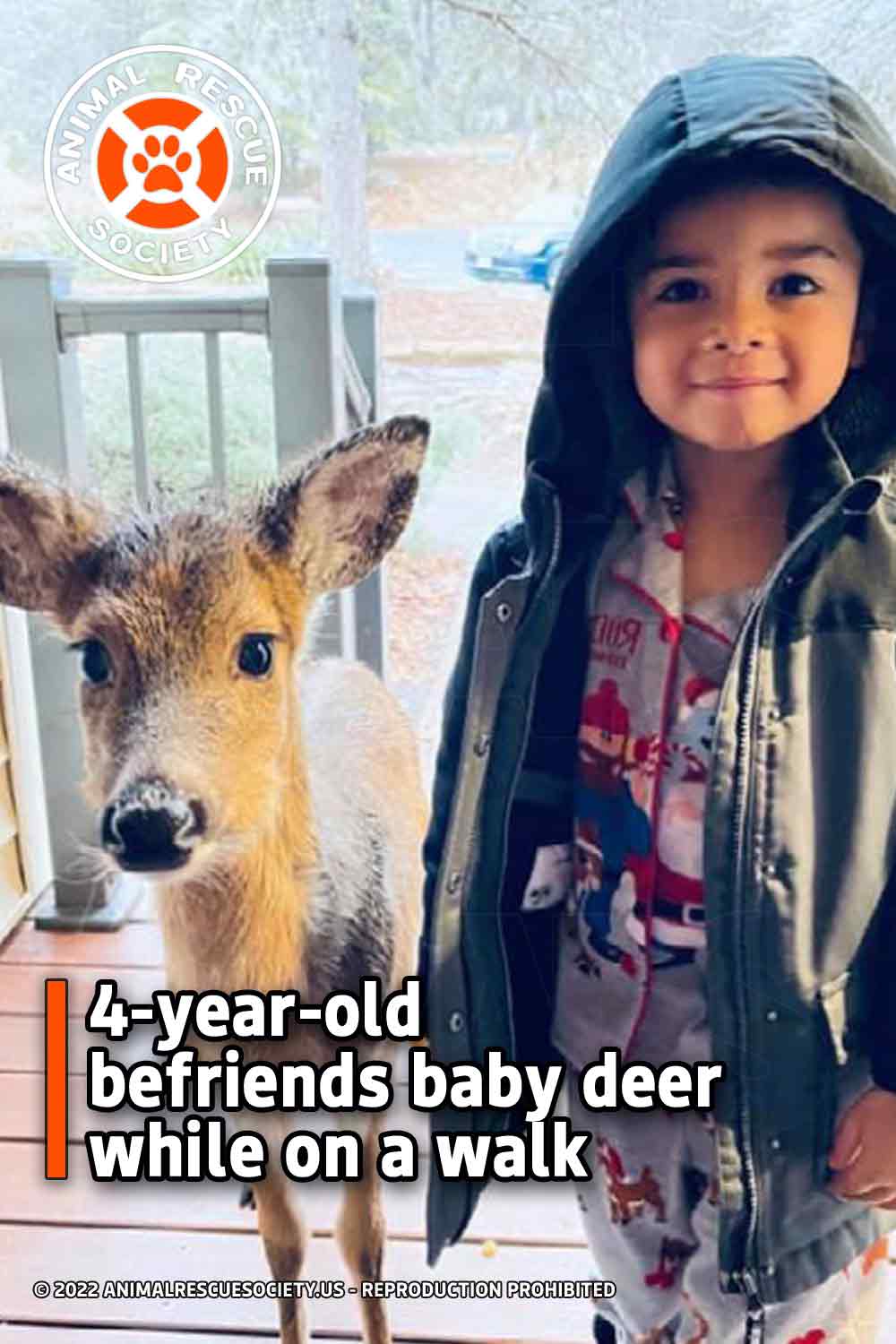 4-year-old befriends baby deer while on a walk