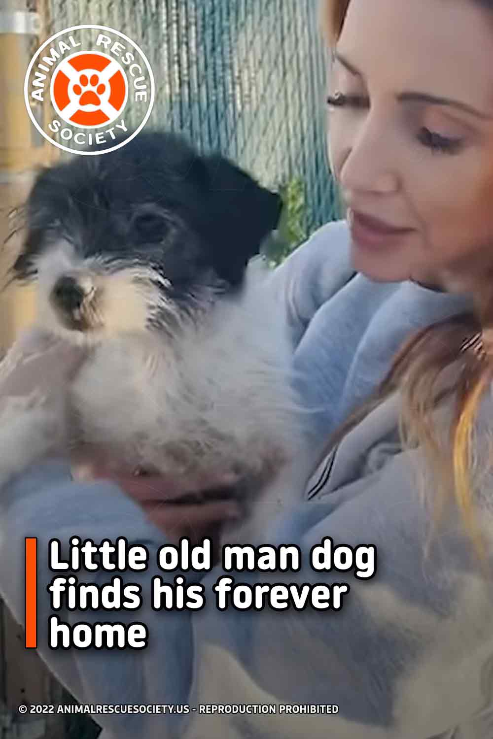 Little old man dog finds his forever home