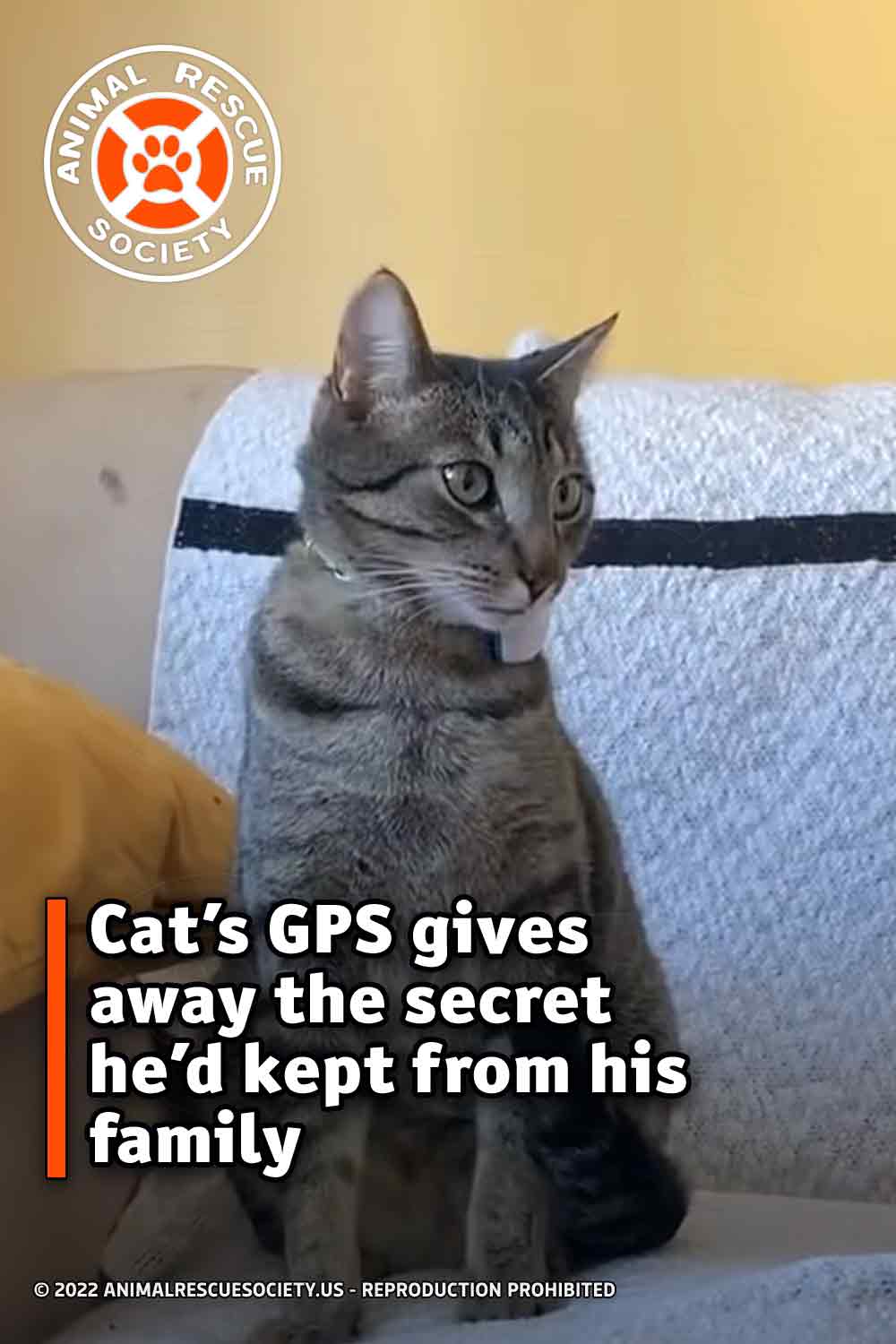 Cat’s GPS gives away the secret he’d kept from his family