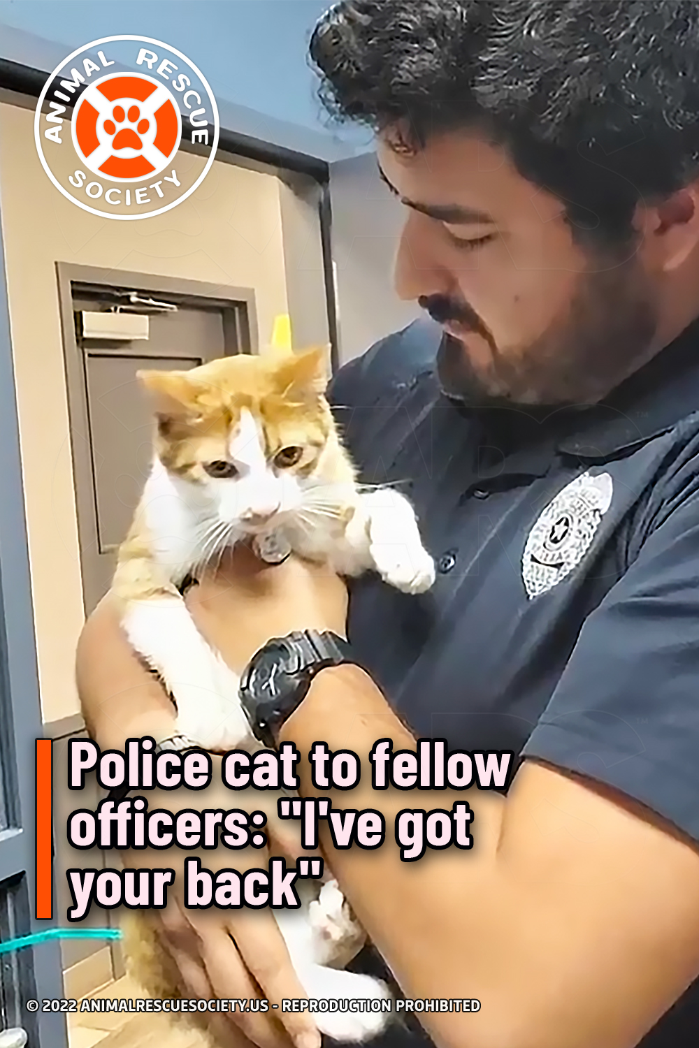 Police cat to fellow officers: \