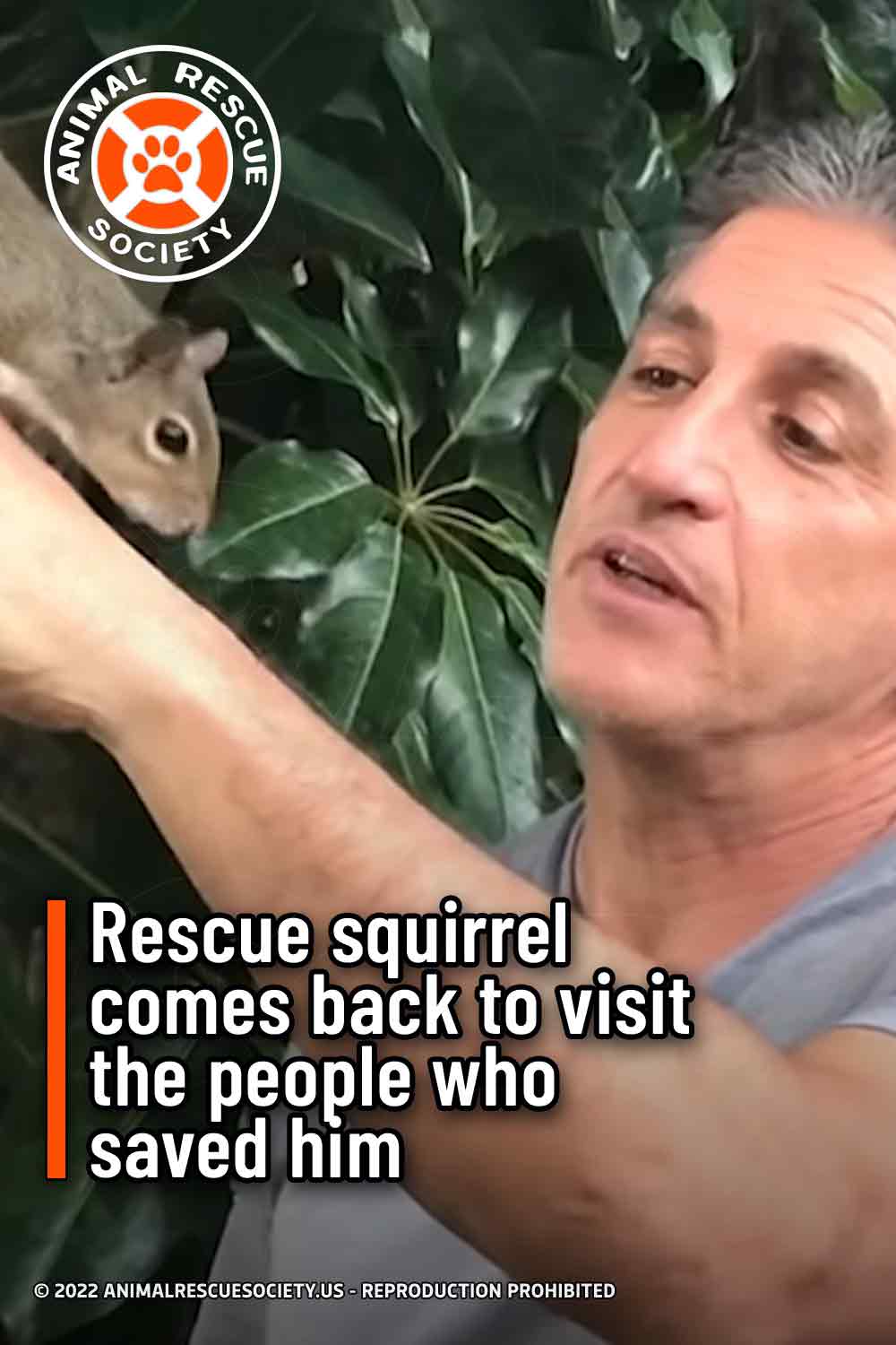 Rescue squirrel comes back to visit the people who saved him