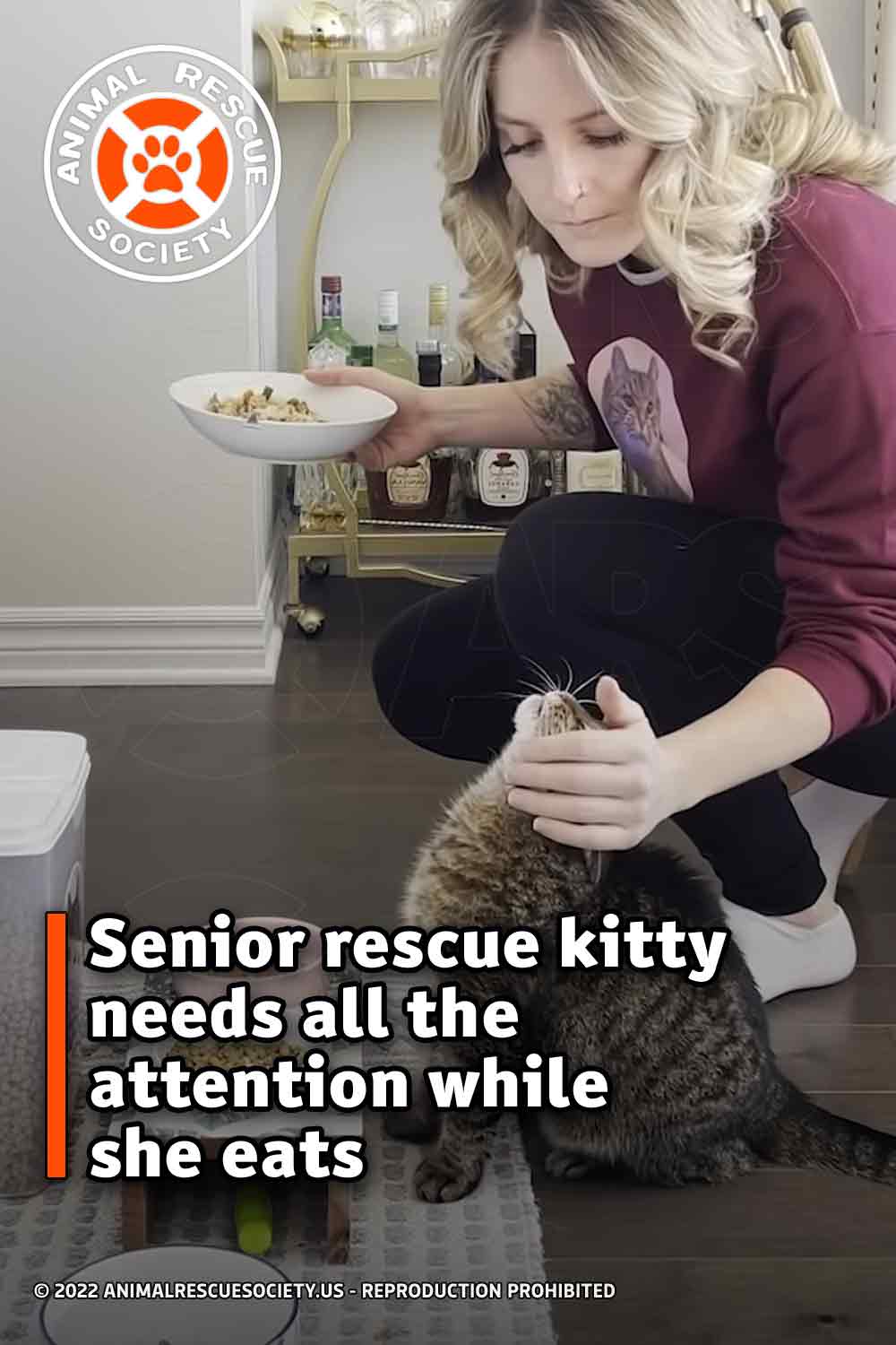 Senior rescue kitty needs all the attention while she eats