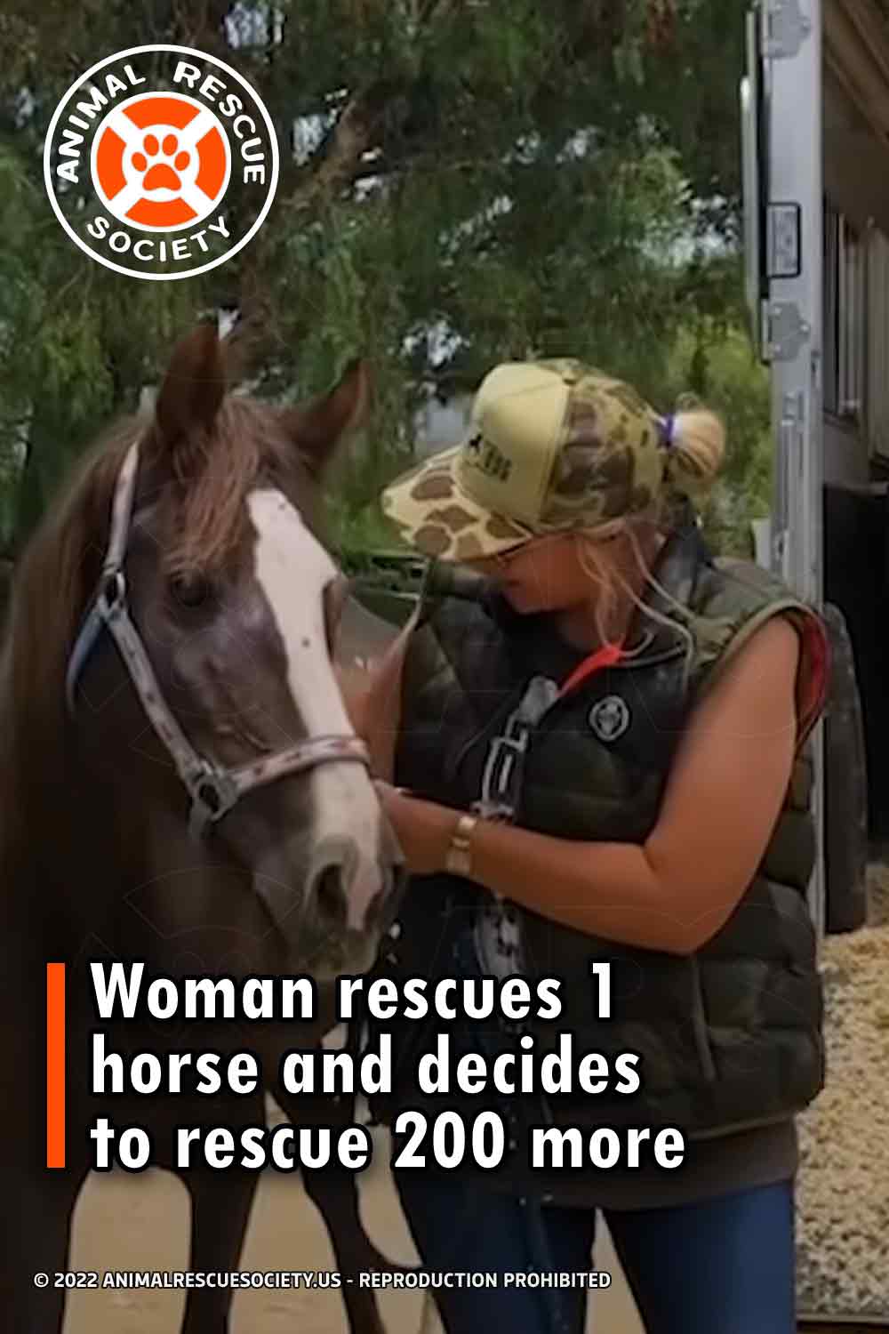 Woman rescues 1 horse and decides to rescue 200 more