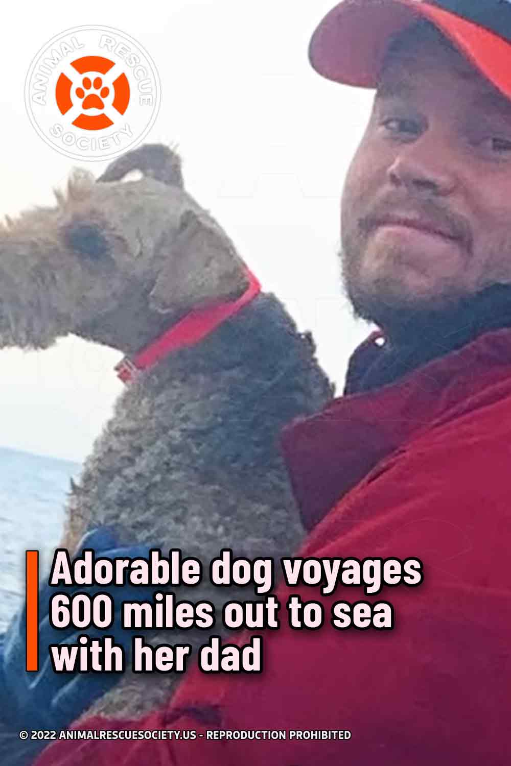 Adorable dog voyages 600 miles out to sea with her dad