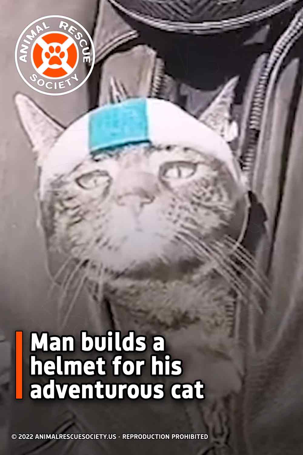 Man builds a helmet for his adventurous cat