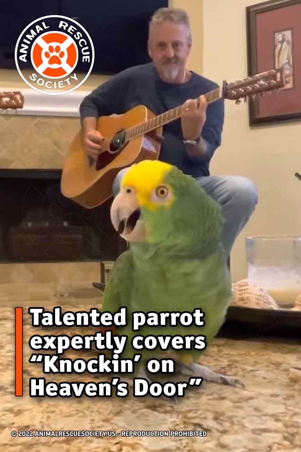 Talented parrot expertly covers “Knockin’ on Heaven’s Door”