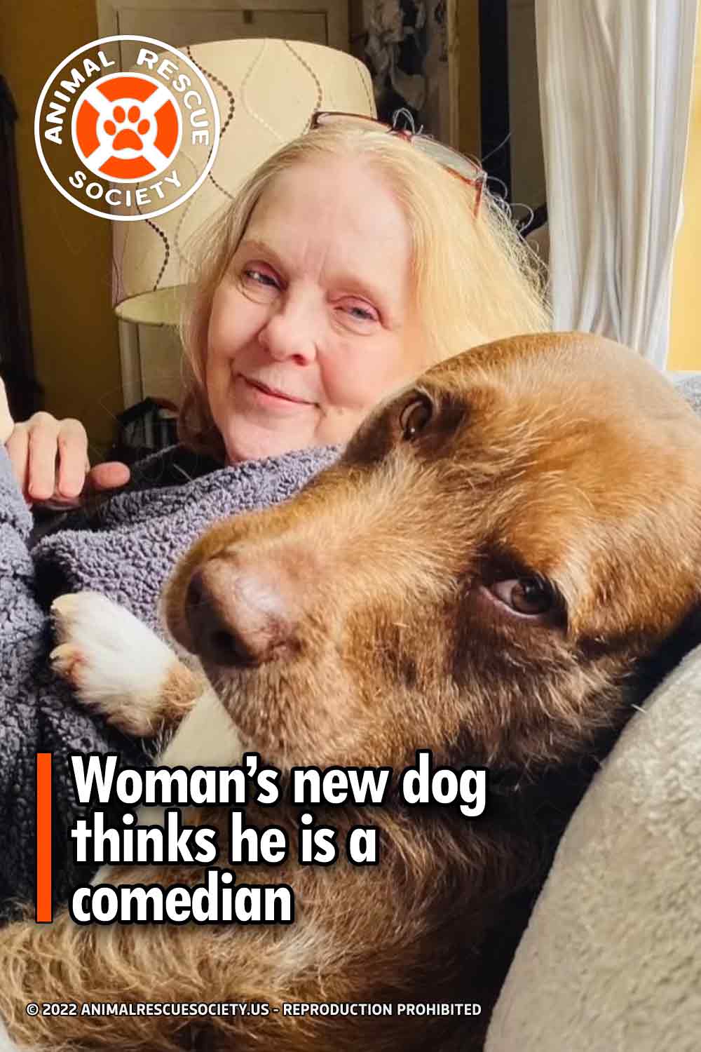 Woman’s new dog thinks he is a comedian