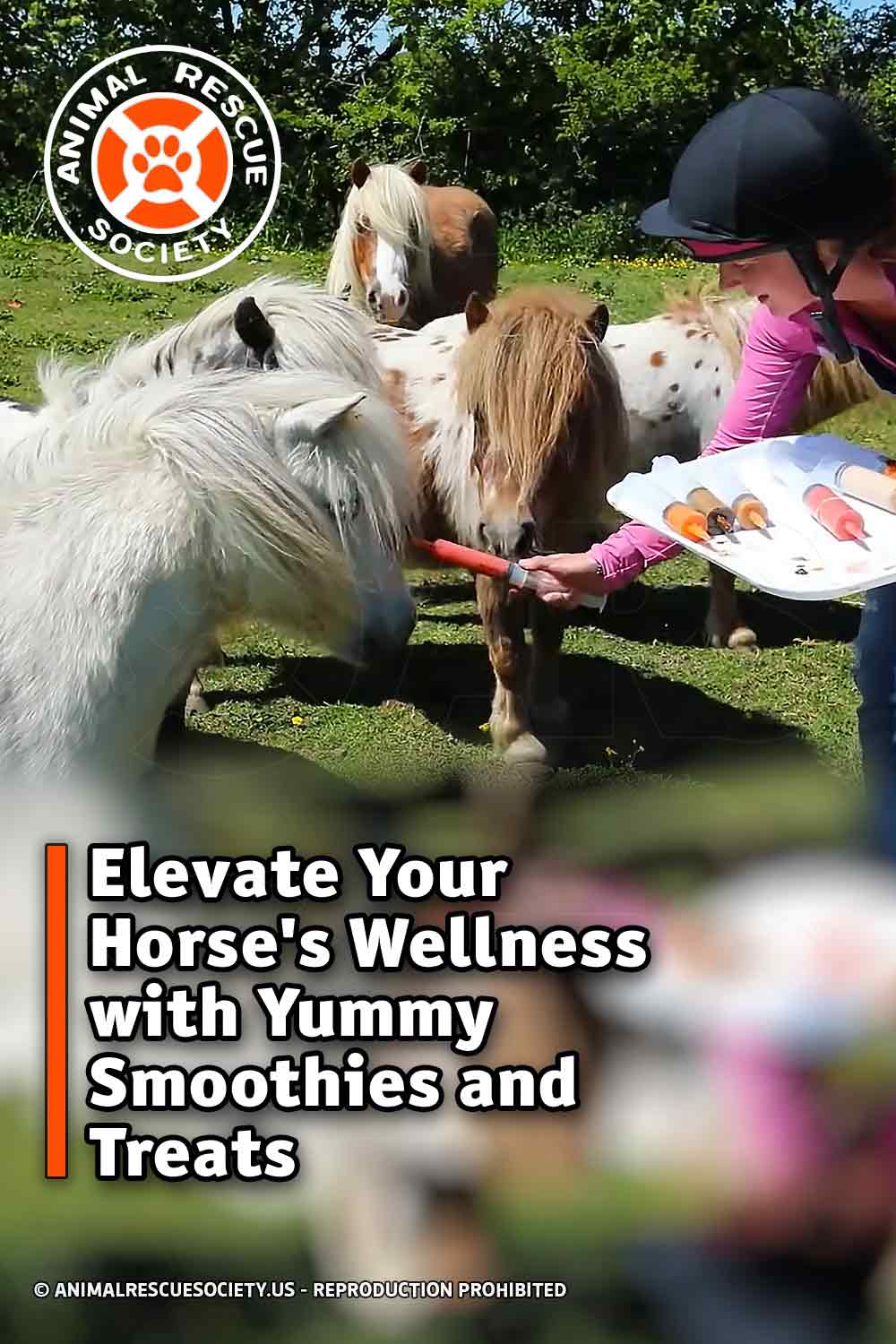 Elevate Your Horse\'s Wellness with Yummy Smoothies and Treats